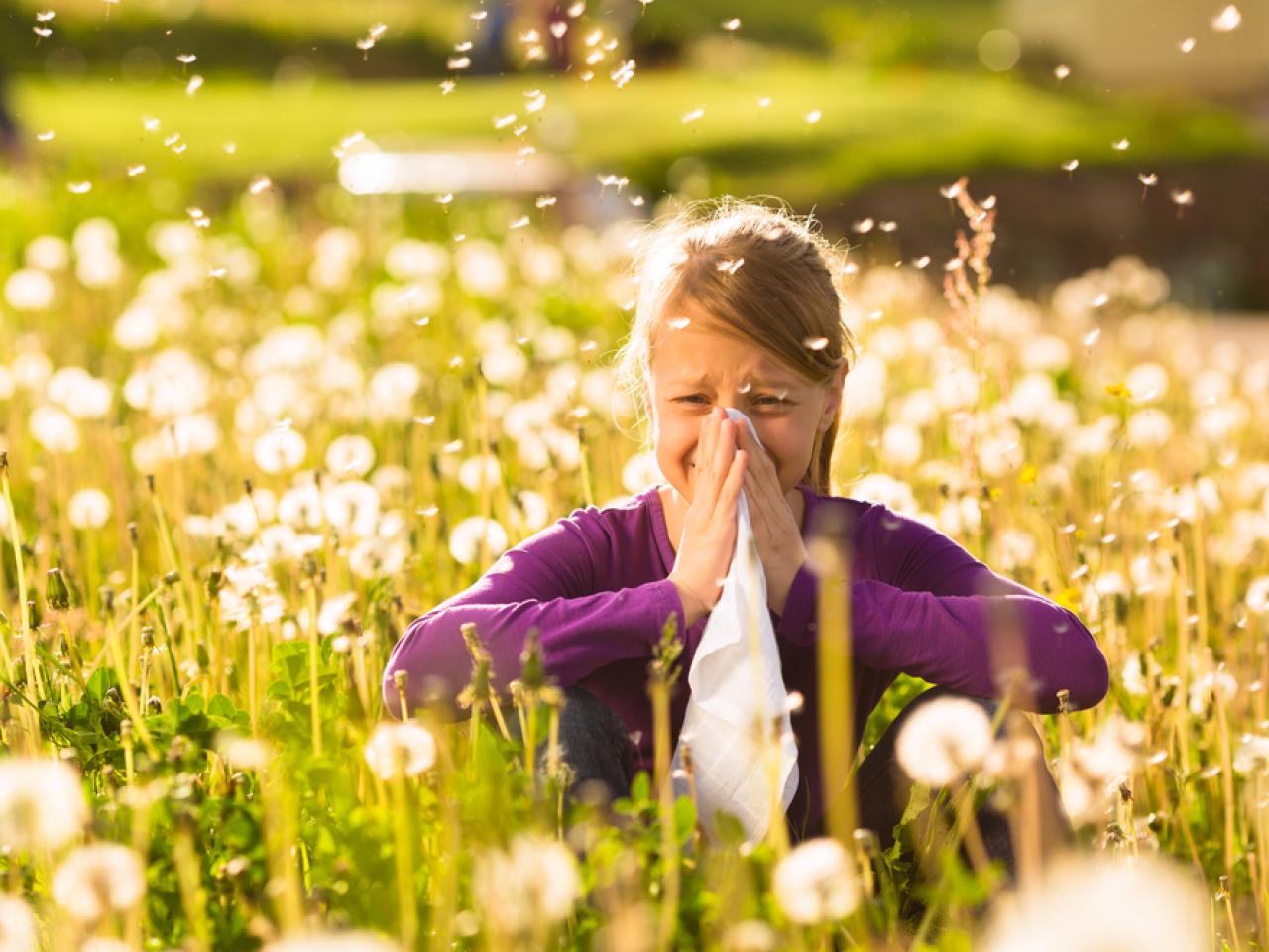 Affaiblir Ses Allergies Grâce à Total Reset - Armelle Naturopathe